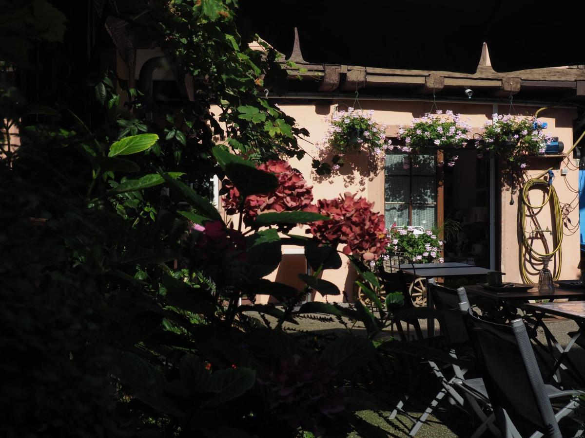 Chambres D'Hotes Chez Caroline コルマール エクステリア 写真